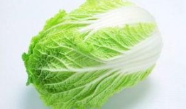 白菜视频吃瓜群众,吃瓜群众的狂欢盛宴