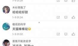 吃瓜新年广告视频,跟随广告视频领略年度美食潮流