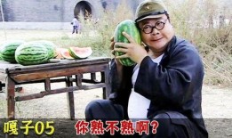 胖子翻译吃瓜视频在线观看,趣味横生笑料连连