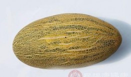 买哈密瓜吃吗有营养吗视频,吃哈密瓜真的有这么多好处吗？