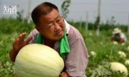 河北威县吃瓜事件视频最新,一场网络热议背后的真相揭秘