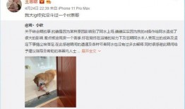 水子哥吃瓜视频,揭秘娱乐圈幕后真相