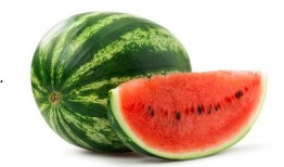 学霸王小九吃小瓜视频,趣味横生引网友热议