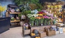 花店视频吃瓜,一场视觉与味蕾的双重盛宴