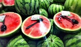 皮呦吃瓜视频,揭秘娱乐圈幕后真相，带你领略明星们的真实生活