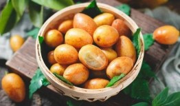 吃黄皮瓜视频教程下载,轻松学会家常美味