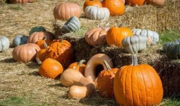 江苏群众吃瓜视频,揭秘当地特色美食文化