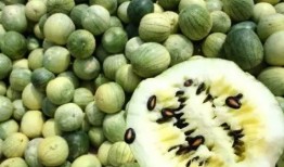 吃瓜神器劲爆打瓜视频下载,吃瓜神器带你畅享热门瓜料