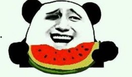 爆笑吃瓜菌理发视频,笑料百出，理发师手艺太绝了！