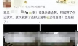 黑龙江学校吃瓜视频,揭秘校园食品安全背后的真相
