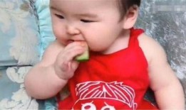 开心吃瓜搞笑视频,带你领略欢乐时光