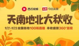 吃瓜活动宣传视频大全集,一场视觉盛宴的精彩回顾