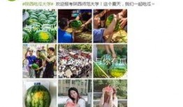 各大院校吃瓜视频,揭秘各大院校吃瓜视频背后的故事