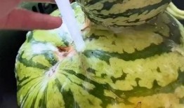 日常搞笑吃瓜视频大全,笑出腹肌的欢乐时光