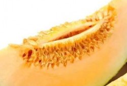 6个月可以吃蜜瓜吗视频,6个月宝宝能否享用蜜瓜？营养专家解答