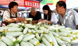 山东临沂吃瓜爆料视频,揭秘当地奇闻轶事