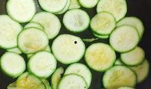 小型吃瓜视频大全集,趣味横生的瞬间集锦