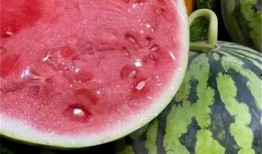 吃西瓜麒麟瓜视频大全,麒麟瓜视频大全带你领略夏日清凉美味