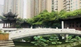 世贸滨江业主群吃瓜视频,揭秘社区生活趣事