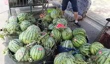 余江吃瓜事件视频全集,视频全集揭秘惊人真相