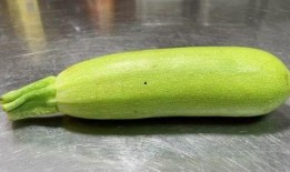 女子吃葫芦瓜好吗视频,女子吃葫芦瓜的好处大盘点