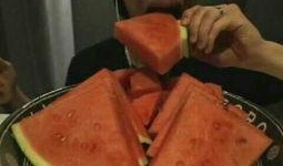 冷门吃瓜哥全集视频,揭秘娱乐圈不为人知的幕后故事