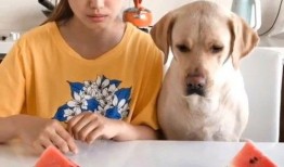 什么是最近最火的吃瓜视频,揭秘近期爆火吃瓜视频背后的热点事件