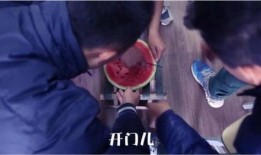 吃瓜段子剧情视频播放,剧情视频播放背后的爆笑段子揭秘