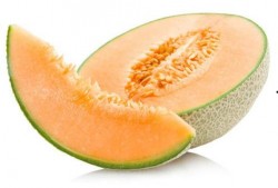 两个多月吃哈密瓜好吗视频,两个月哈密瓜饮食体验分享