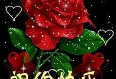 吃瓜女孩玫瑰花视频下载,揭秘幕后花絮