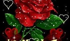 吃瓜女孩玫瑰花视频下载,揭秘幕后花絮