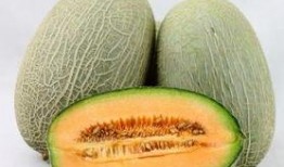 大宝吃哈密瓜视频,萌态十足引网友热议