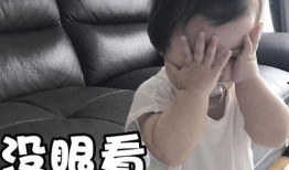 吃瓜动漫校园暴力视频,揭开校园霸凌的冰山一角