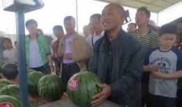 任城吃瓜群众事件视频,一场网络舆论的风暴与反思