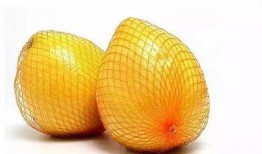 柚子吃瓜神器视频,轻松解锁美味新体验