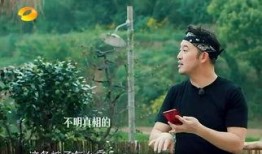 吃瓜吐槽事件真相视频,真相视频背后的惊人内幕