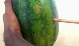 大量吃瓜技术视频,揭秘海量吃瓜技术视频精华