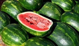 潮汕妇女吃瓜视频大全,一场别开生面的吃瓜盛宴