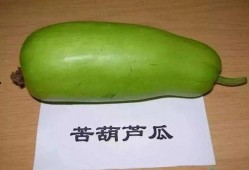 诸城吃瓜视频,揭秘当地美食文化盛宴