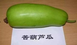 诸城吃瓜视频,揭秘当地美食文化盛宴