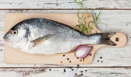 八瓜鱼哪里可以吃啊视频