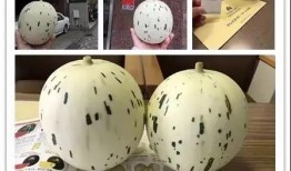 6个月可以吃蜜瓜吗视频,6个月宝宝能否享用蜜瓜？营养专家解答