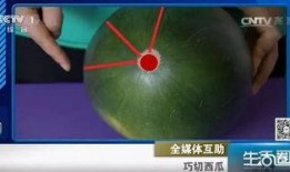 吃瓜生活圈视频,短视频中的趣味人生百态