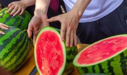 浙江大学吃瓜视频,揭秘校园生活趣味瞬间