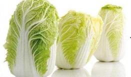 白菜视频吃瓜群众,吃瓜群众的狂欢盛宴