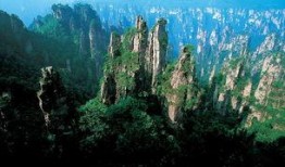 张家界视频吃瓜男主是谁,他是谁？背后的故事