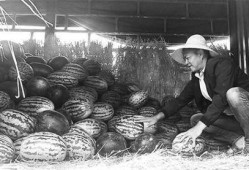 任城吃瓜群众事件视频,一场网络舆论的风暴与反思