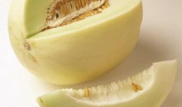 外地人吃兰州白兰瓜视频,感受瓜城魅力