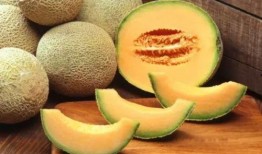 哈密瓜炒鹿肉可以吃吗视频,创意美食新尝试