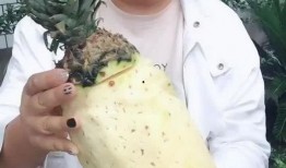 大姐吃海绵瓜视频,趣味横生，网友直呼“太可爱”